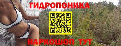 ECSTASY Ирбит