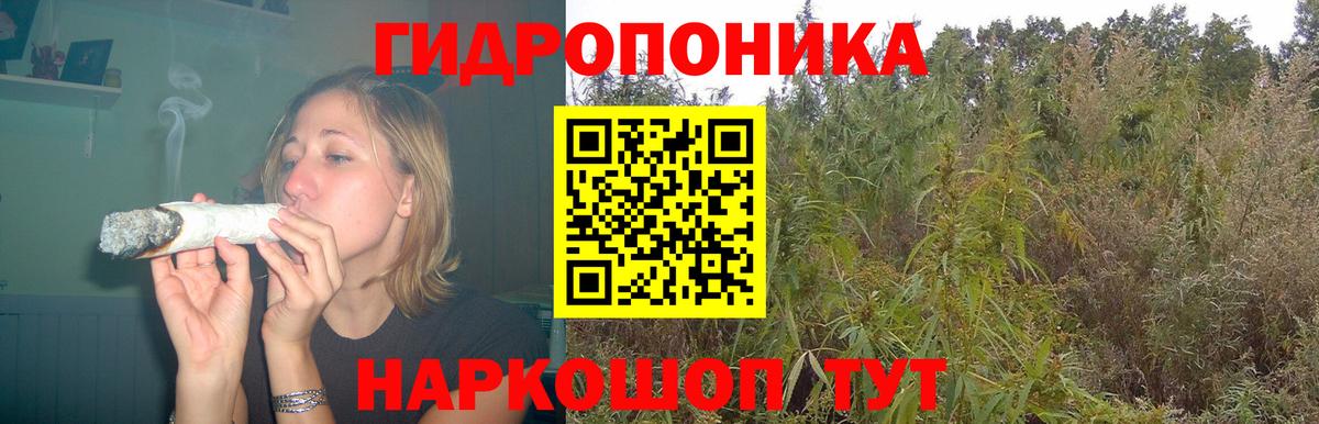 Конопля марихуана  Шишки марихуана тримм  Шишки марихуана SATIVA & INDICA  Курчалой  Вход с VPN 